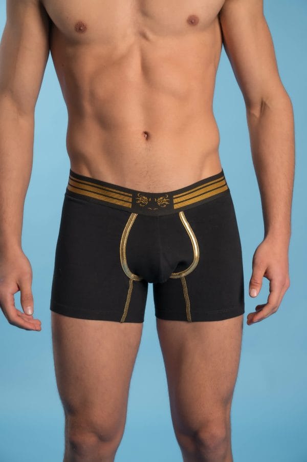 Boxer Premium "Summum" - Imagen 4