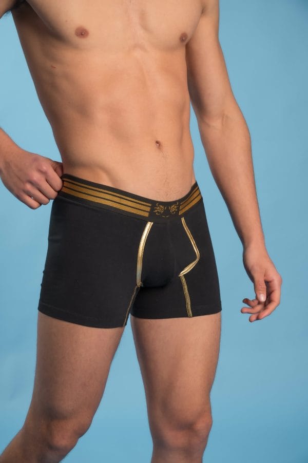 Boxer Premium "Summum" - Imagen 5